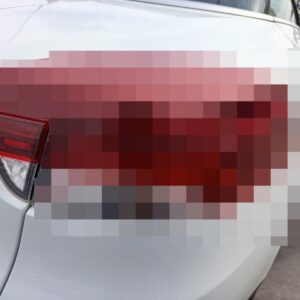 PILOTO TRASERO DERECHO INTERIOR RENAULT MEGANE III COUPE-CABRIO