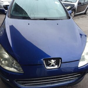 CAPO PEUGEOT 407