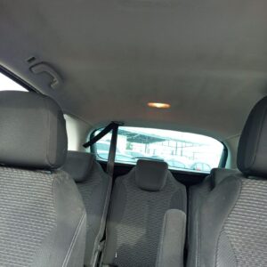 TECHO INTERIOR CITROEN C4 PICASSO