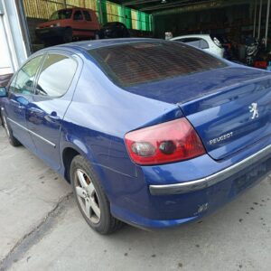 PORTON TRASERO PEUGEOT 407