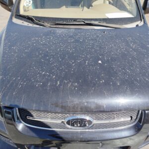 CAPO KIA SPORTAGE (KM)