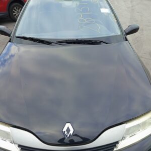 CAPO RENAULT LAGUNA II (BG0)