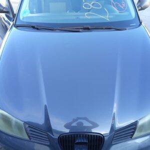 CAPO SEAT IBIZA (6L1)