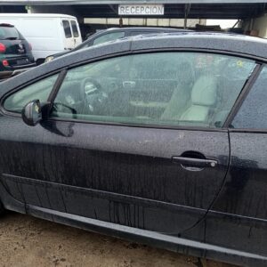 PUERTA DELANTERA IZQUIERDA PEUGEOT 307 CC CABRIO-COUPÉ (S1)(10.2003)
