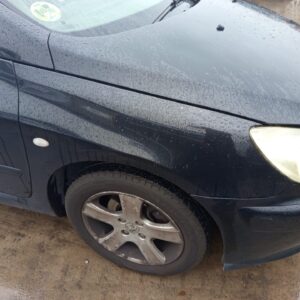 ALETA DELANTERA DERECHA PEUGEOT 307 CC CABRIO-COUPÉ (S1)(10.2003)