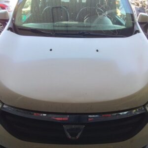 CAPO DACIA LODGY