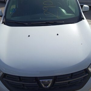 CAPO DACIA LODGY