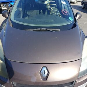 CAPO RENAULT SCENIC III (JZ)