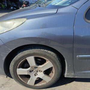 ALETA DELANTERA IZQUIERDA PEUGEOT 207