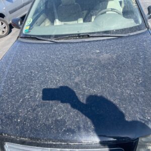 CAPO AUDI A3 (8L)
