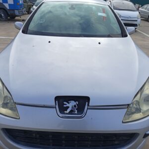 CAPO PEUGEOT 407