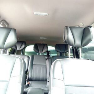 TECHO INTERIOR RENAULT SCENIC III (JZ)