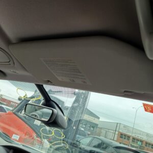 PARASOL DERECHO RENAULT SCENIC III (JZ)