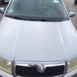 CAPO SKODA FABIA (6Y2/6Y3)