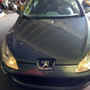 CAPO PEUGEOT 407