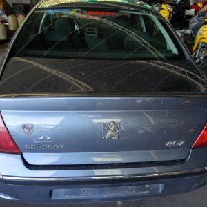PORTON TRASERO PEUGEOT 407