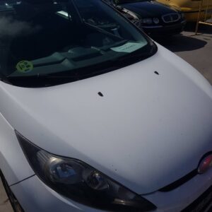 CAPO FORD FIESTA (CB1)