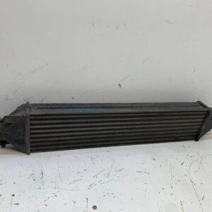 INTERCOOLER LANCIA DELTA (181)