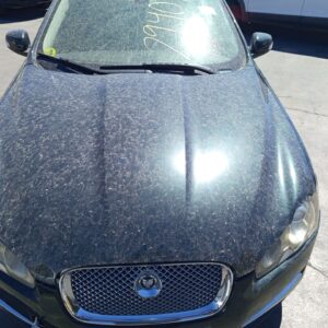 CAPO JAGUAR XF