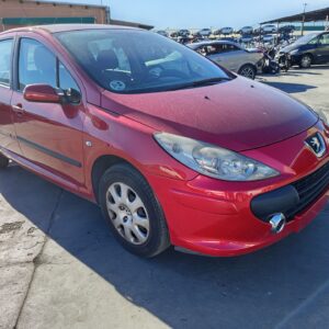 PILOTO TRASERO DERECHO PEUGEOT 307 BERLINA (S2)