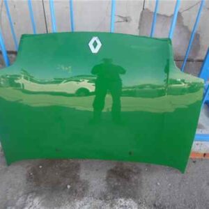 CAPO RENAULT CLIO II FASE I (B/CB0)