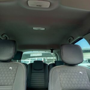 TECHO INTERIOR RENAULT SCENIC III (JZ)
