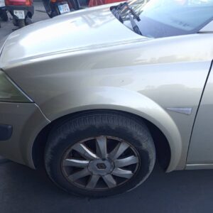 ALETA DELANTERA IZQUIERDA RENAULT MEGANE II COUPE/CABRIO