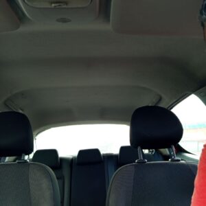 TECHO INTERIOR PEUGEOT 207