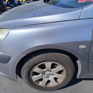 ALETA DELANTERA IZQUIERDA PEUGEOT 307 (S1)(04.2001)