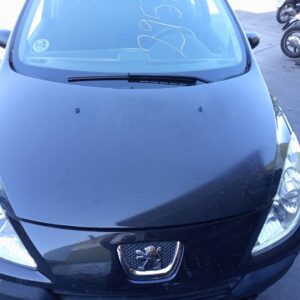 CAPO PEUGEOT 307 BERLINA (S2)