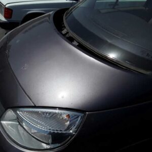 CAPO RENAULT SCENIC II (JM)